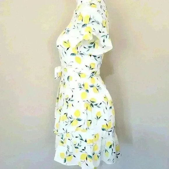 Banana Republic Frill Fit And Flare Lemon Print Dress - Picture 7 of 11